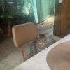 Harley grumpily awaits her lunch...