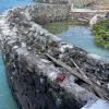Marine iguanas that almost disappear against the lava rocks and Sally lightfoot crabs.