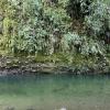 Gorgeous water in a tributary of the Amazon River