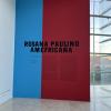 Exhibit by Brazilian artist Rosana Paulino describing the African diaspora in South America (https://www.youtube.com/watch?v=1Wn1xG5qM-g&t=62s)