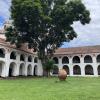 The grounds of the Jesuit estate