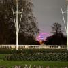 The London Eye at night!