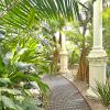 Pathway inside of the Botanical Gardens of Copenhagen