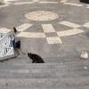 An empty mall center in Gran Canaria that was filled with cats