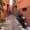 This sleeping cat was our first welcome into Marrakesh!