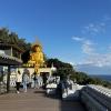 The Buddha statue