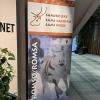 Sámi week banner in town