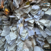 The wall of a bookstore in Madrid is covered by papers. It is a tradition where people write their hopes for the year and post them in the store