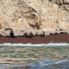The sea lions were my favorite animals to see! Not pictured, the baby sea lions learning to swim in the water!
