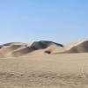 Do you see the dune buggy tracks? The dune buggies ride up and down the dunes to pick up and drop off sandboarders.