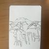 Beach umbrellas...pop-up chairs and umbrellas are for sale everywhere and cover the majority of public beaches