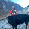 I'm brushing my teeth next to a cow one morning on our trek. The water was ice cold!