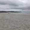 Made it to Tortuga Bay!