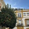 Admiring orange trees along the road in Seville, Spain