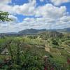 Finca Agroecológica El Paraíso - Paradise Agroecological Farm 