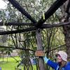 We explored a beautiful garden - can you guess what the sign says?