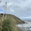 A cloudy day in Port Waikato, but I think it makes the bluffs and coast line look more dramatic