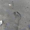 Some of the sand was grey/black, but some of it was a royal blue; the photo does not do the blueness justice