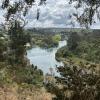 In this particular section in Lake Taupō, the Waikato River is quite calm