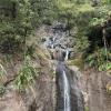 You can see why these falls are called Wai Maringi (flowing, pouring water) or Fairy Falls!