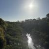 There are so many beautiful walking trails in Auckland, like this one, which is passed by a scintillating river