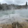 We walked around some steaming hot springs in Rotorua; the whole area smells like rotten eggs, because of the sulfur