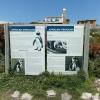 A sign telling all about the penguins