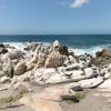 Beautiful beaches in Hermanus!