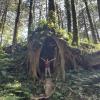 Me inside a giant tree!