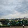 From a bell tower at the Buddha Temple, looking out over the city of Suwon
