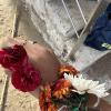 I created a bracelet out of flowers from the beach in Sitges