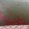 My grandmother and I scattered red flowers into the ocean at Confucian temple Sanggar Agung to honor my late grandfather