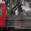 Locals and tourists take pictures and wave at the iconic train as it passes
