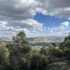 Overlooking lush hills at Dibeen Forest Reserve (northern Jordan)