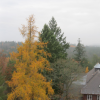 A view of fall colors from a lookout point in Karlovy Vary