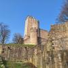 Starkenburg (literally "strong castle") in Heppenheim - 2 hours hike!