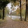 A Ciechanów park that I used to run in during the fall