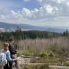 Weekend getaway hiking in the north of the Czech Republic with some fellow Fulbrighters 