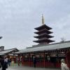 There are many beautiful pagodas at temples all around Japan, just like this one!
