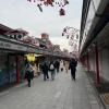 The shopping street leading up to Sensoji temple. I arrived early so many of the shops were closed still.
