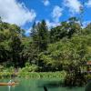 Check out this little pond at the top of Wulai Falls, where you can see people in rowboats, and a small pavillion where you can read fortunes