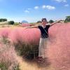 Pink muhly at Camellia Hill Botanical Garden