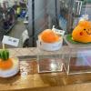 Tangerine souvenirs, Seogwipo