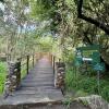 Lilongwe Wildlife Centre bridge — Crossing the quiet bridge inside Lilongwe National Park and Wildlife Trust.