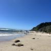 Beach in Byron Bay
