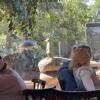A meerkat, seen from the Meerkat Bistro