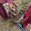 Sifting compost to get rid of the worms and other larger chunks that still need to break down before placing it in the garden to make the plants grow better