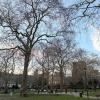 There are many parks in London, and even in winter, people sit outside