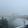 This bridge in the Ba Na Hills is a famous tourist attraction known for its beautiful mountain views. Unfortunately, the day we went it was pouring, so we could not see anything!