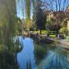 Oxford has a long canal that runs through the town